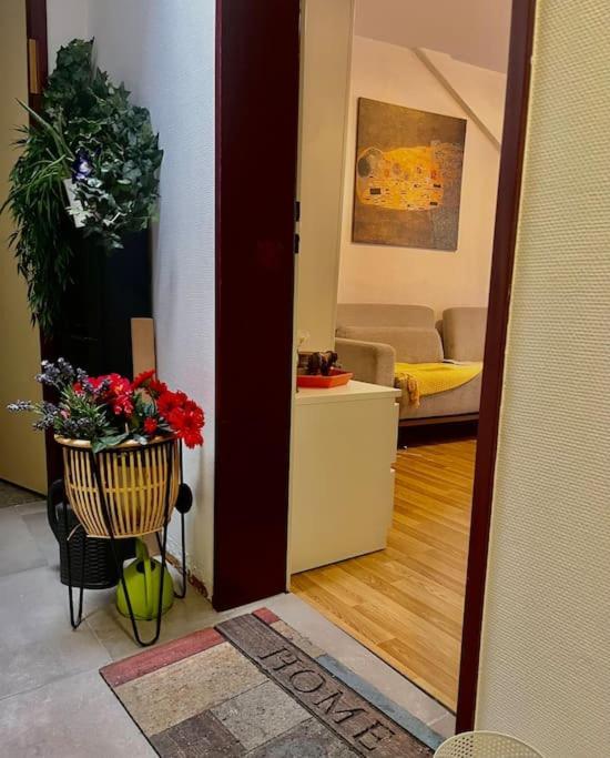 Apartment Near Central Station Zürich Eksteriør billede